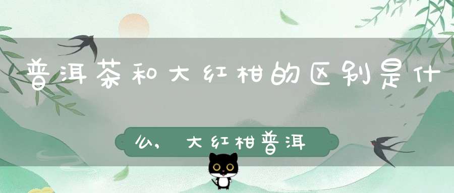 普洱茶和大红柑的区别是什么,大红柑普洱茶的口感