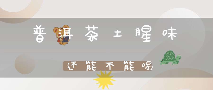 普洱茶土腥味还能不能喝