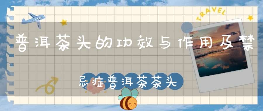 普洱茶头的功效与作用及禁忌症普洱茶茶头功效与禁忌