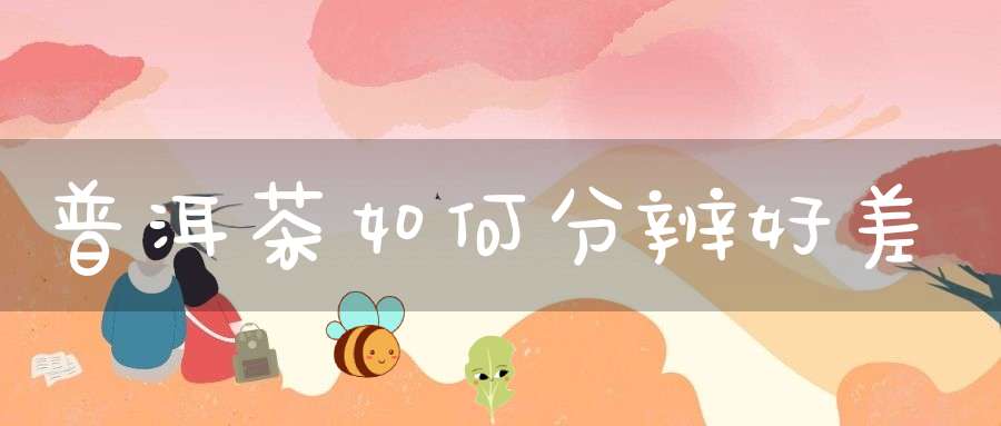 普洱茶如何分辨好差