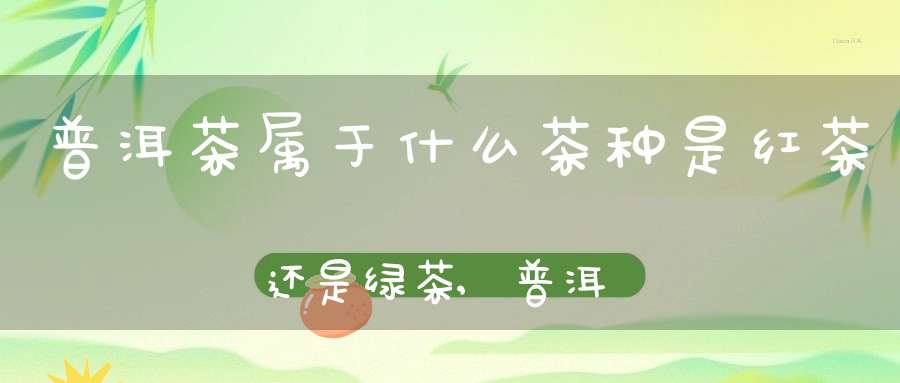 普洱茶属于什么茶种是红茶还是绿茶,普洱茶属于什么茶种?