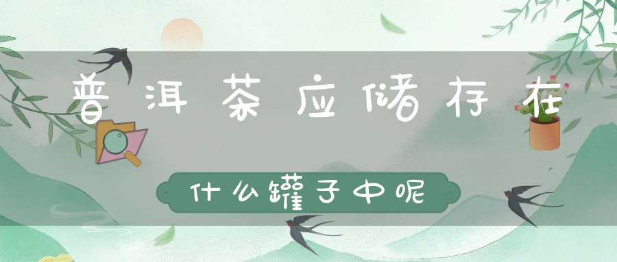 普洱茶应储存在什么罐子中呢