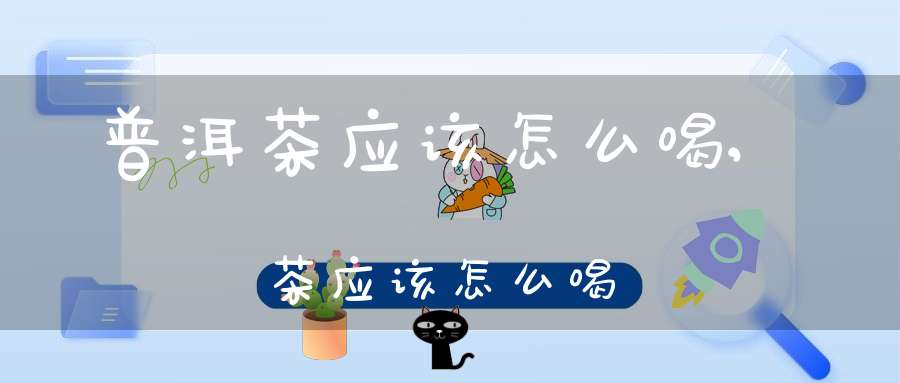 普洱茶应该怎么喝,茶应该怎么喝