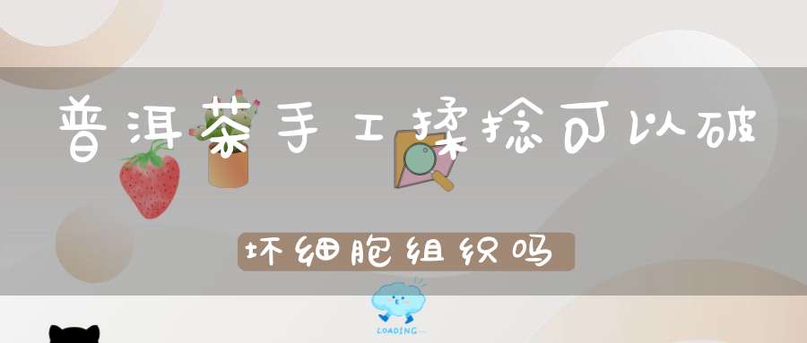普洱茶手工揉捻可以破坏细胞组织吗