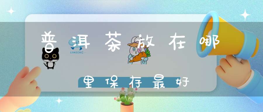 普洱茶放在哪里保存最好