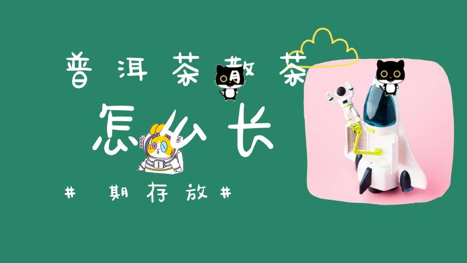 普洱茶散茶怎么长期存放