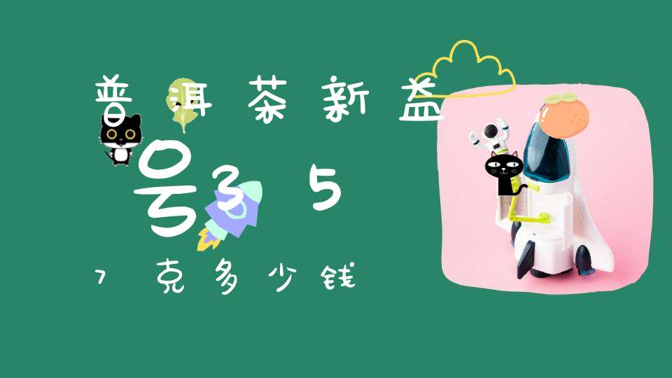 普洱茶新益号357克多少钱
