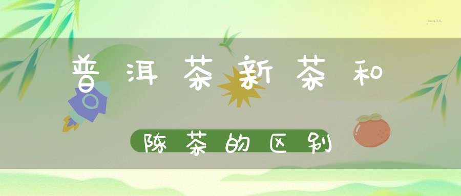 普洱茶新茶和陈茶的区别