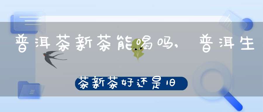 普洱茶新茶能喝吗,普洱生茶新茶好还是旧茶好