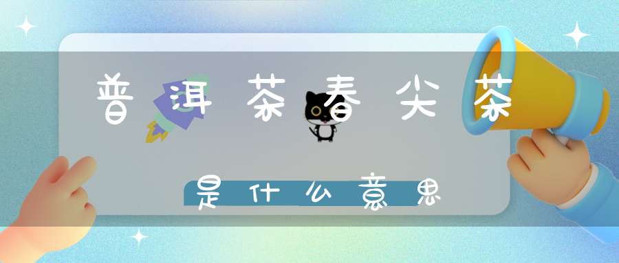 普洱茶春尖茶是什么意思?