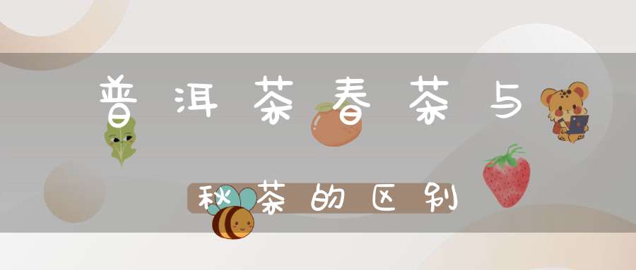 普洱茶春茶与秋茶的区别