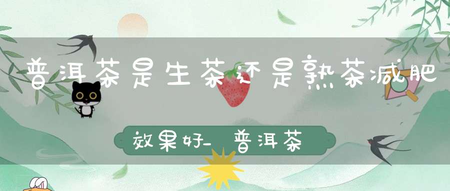 普洱茶是生茶还是熟茶减肥效果好_普洱茶是熟茶减肥还是生茶减肥