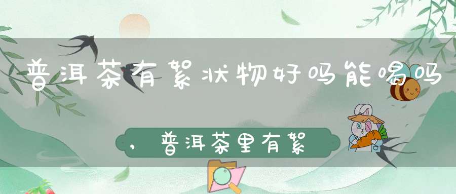 普洱茶有絮状物好吗能喝吗,普洱茶里有絮状漂浮物