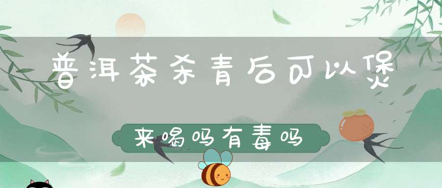 普洱茶杀青后可以煲来喝吗有毒吗