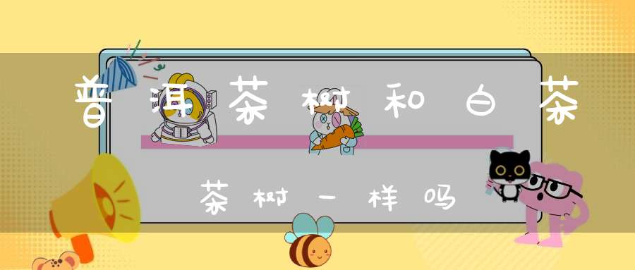 普洱茶树和白茶茶树一样吗