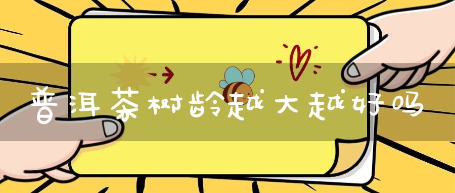 普洱茶树龄越大越好吗