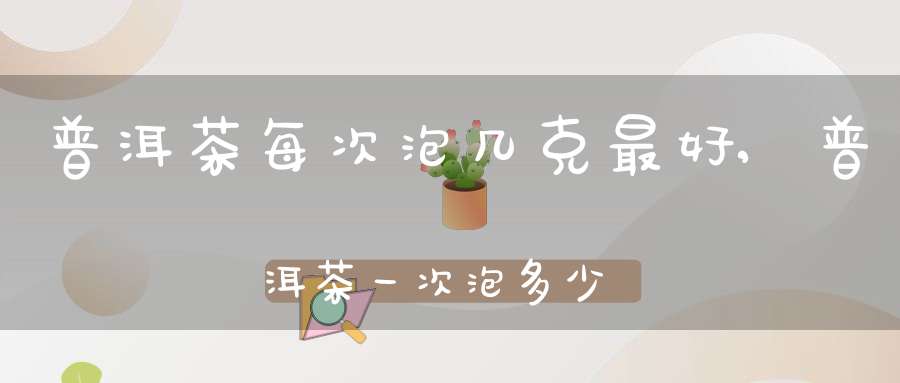 普洱茶每次泡几克最好,普洱茶一次泡多少g