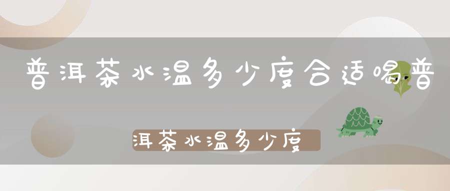 普洱茶水温多少度合适喝普洱茶水温多少度合适呢冬天喝