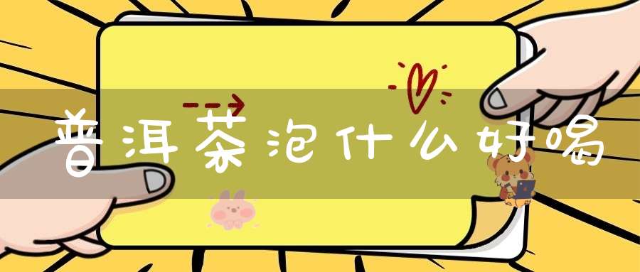 普洱茶泡什么好喝