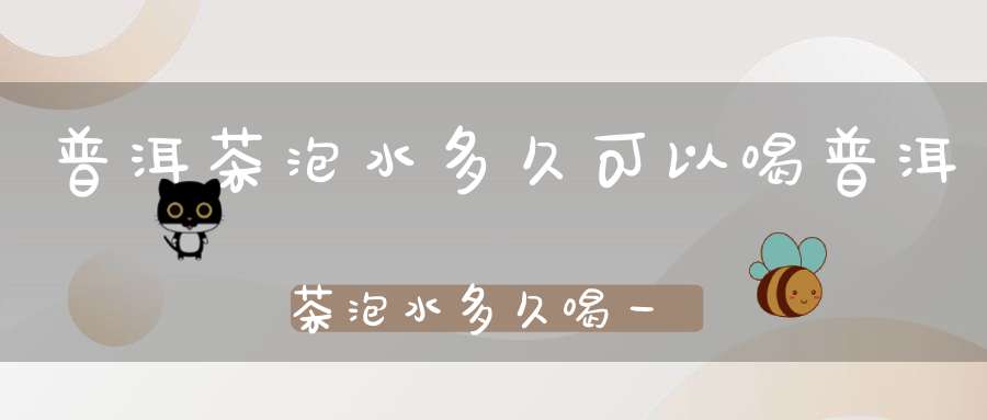 普洱茶泡水多久可以喝普洱茶泡水多久喝一次