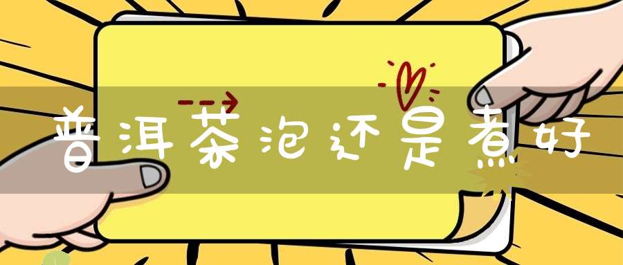 普洱茶泡还是煮好