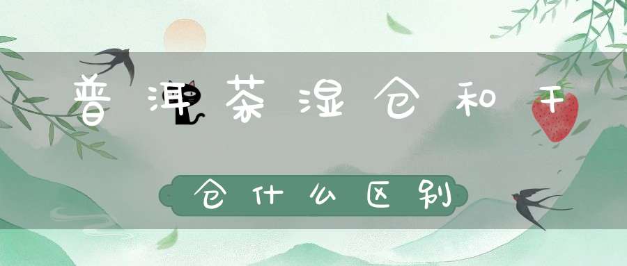 普洱茶湿仓和干仓什么区别