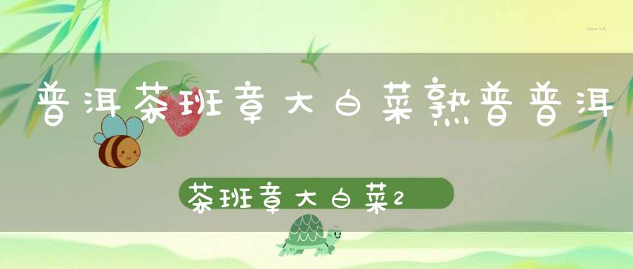 普洱茶班章大白菜熟普普洱茶班章大白菜2003年1000克青砖内飞