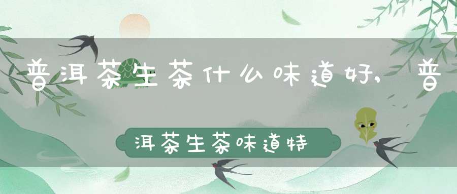 普洱茶生茶什么味道好,普洱茶生茶味道特点