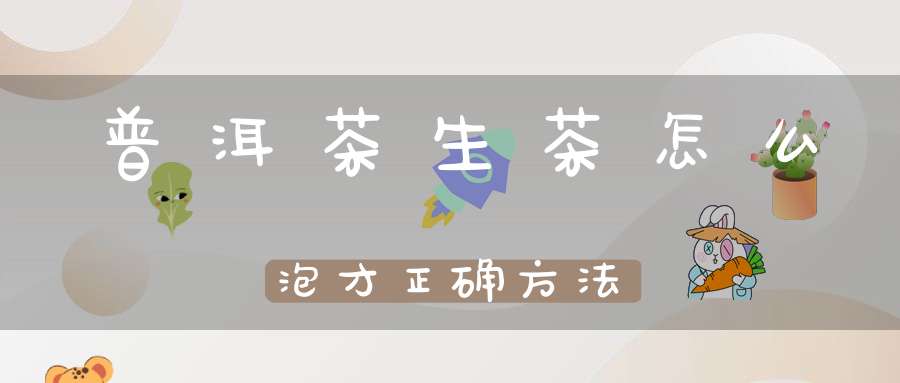 普洱茶生茶怎么泡才正确方法