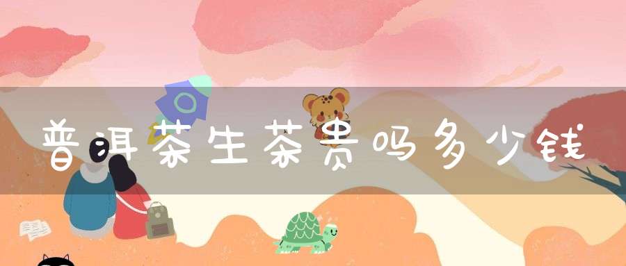 普洱茶生茶贵吗多少钱