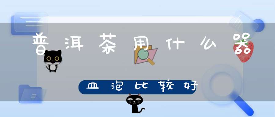 普洱茶用什么器皿泡比较好