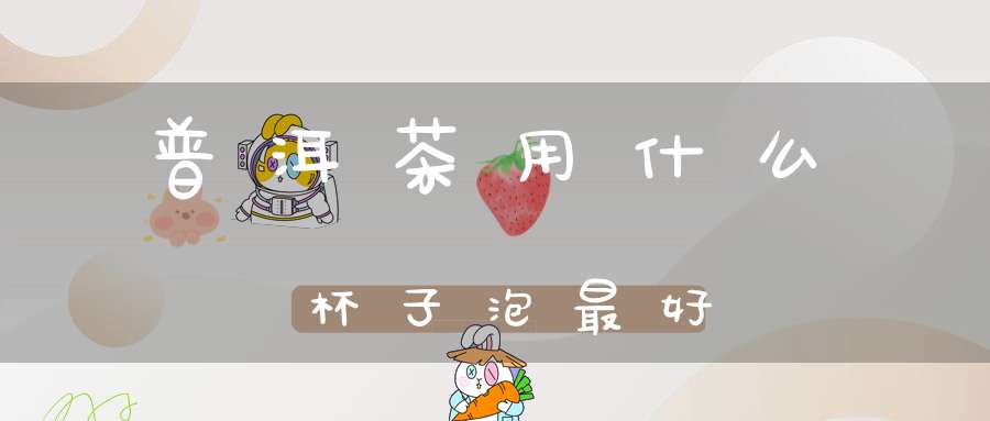 普洱茶用什么杯子泡最好