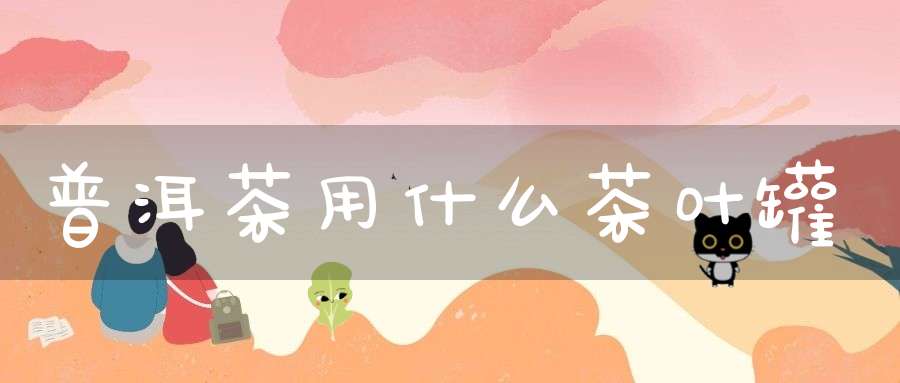 普洱茶用什么茶叶罐