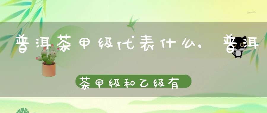 普洱茶甲级代表什么,普洱茶甲级和乙级有什么区别