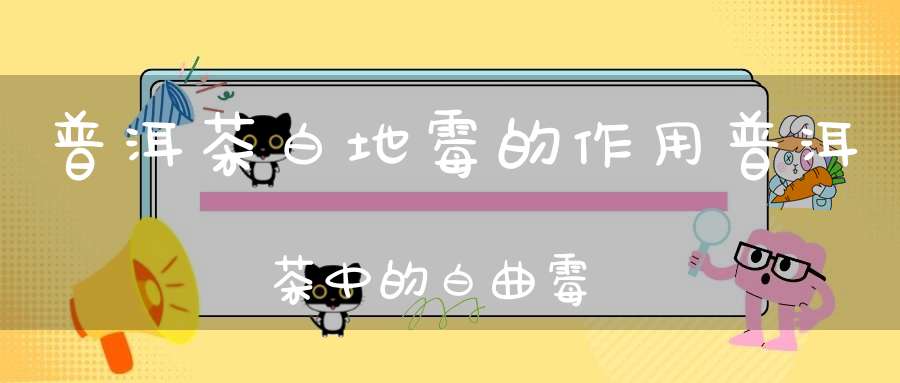 普洱茶白地霉的作用普洱茶中的白曲霉
