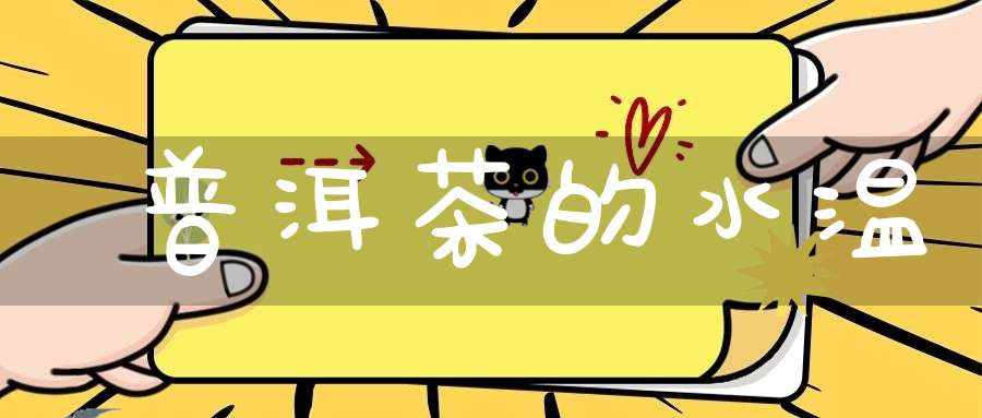 普洱茶的水温