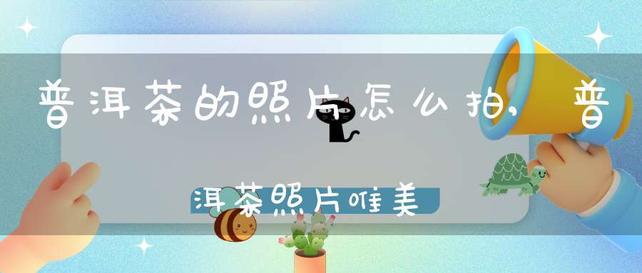 普洱茶的照片怎么拍,普洱茶照片唯美