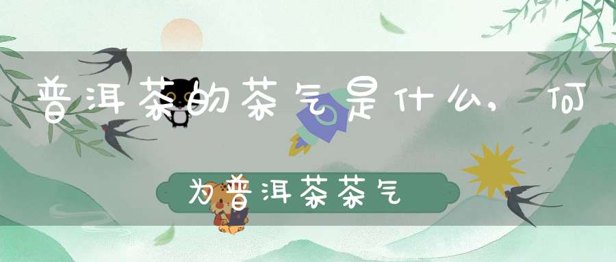 普洱茶的茶气是什么,何为普洱茶茶气