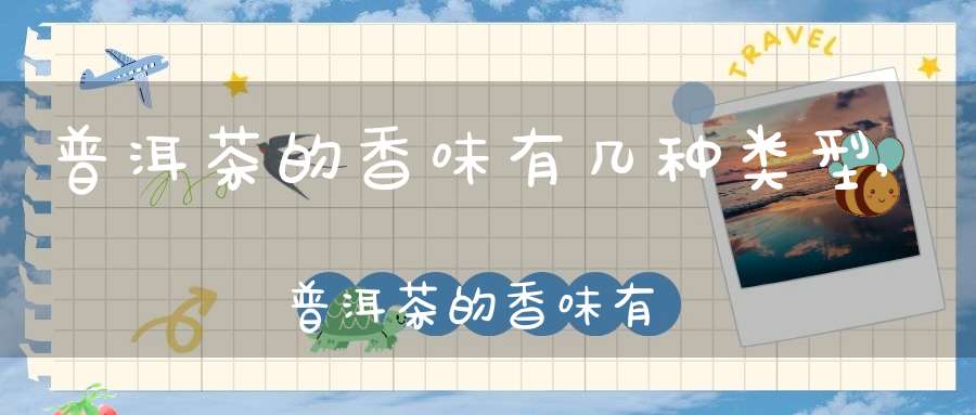 普洱茶的香味有几种类型,普洱茶的香味有哪几种