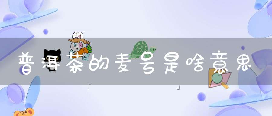 普洱茶的麦号是啥意思