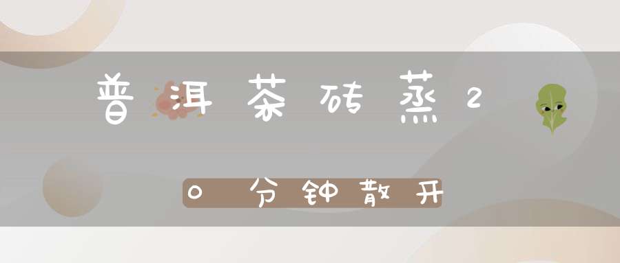 普洱茶砖蒸20分钟散开