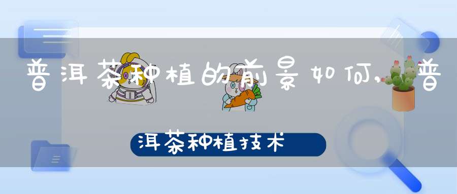 普洱茶种植的前景如何?,普洱茶种植技术