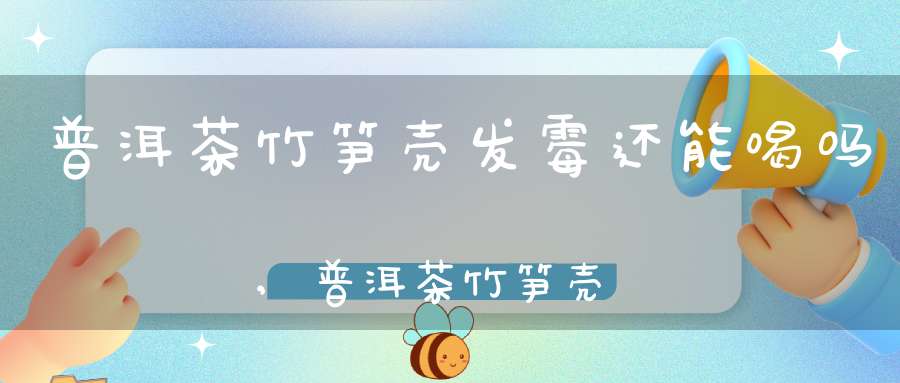普洱茶竹笋壳发霉还能喝吗,普洱茶竹笋壳发霉了能喝吗