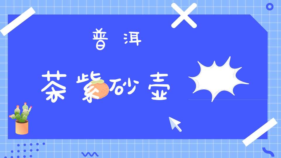 普洱茶紫砂壶