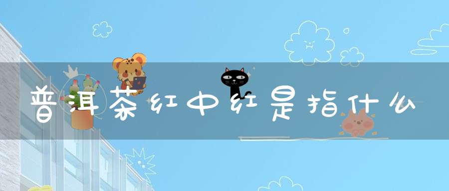 普洱茶红中红是指什么