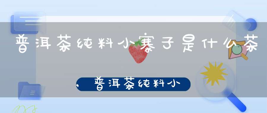 普洱茶纯料小寨子是什么茶,普洱茶纯料小寨子怎么样