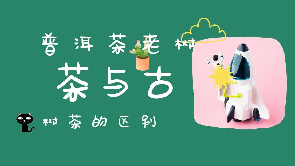 普洱茶老树茶与古树茶的区别