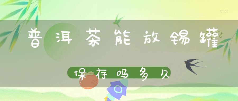 普洱茶能放锡罐保存吗多久
