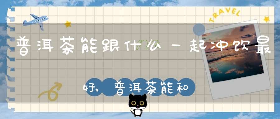 普洱茶能跟什么一起冲饮最好,普洱茶能和啥一起冲泡