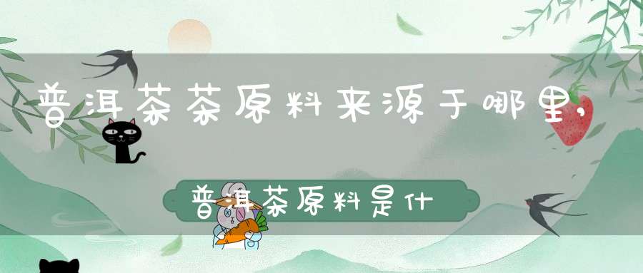 普洱茶茶原料来源于哪里,普洱茶原料是什么茶